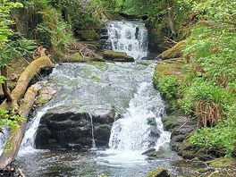 Watersmeet