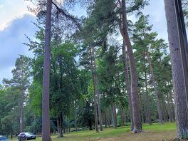 Campsite