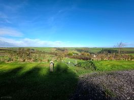 The enclosed dog field