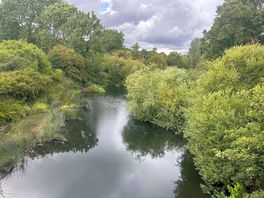 Serenity on the swale