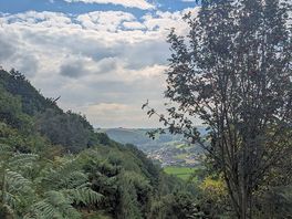 More views