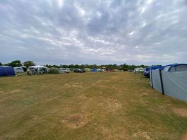 The big back field