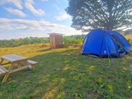 The setup