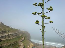 Azenhas do mar