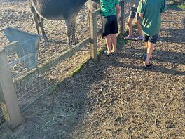Especially loved the donkey