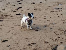 Beach walks