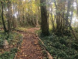 Right by pitch lovely walks