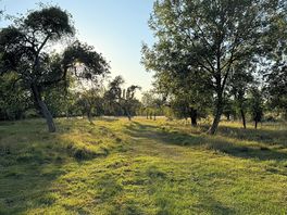 Beautiful natural campsite