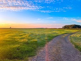 The campsite field