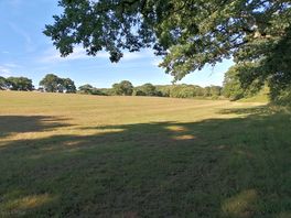 Another peaceful view
