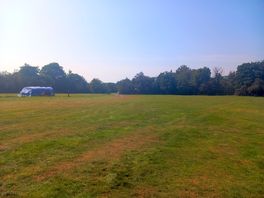 Middle field