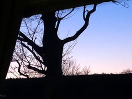 Beautiful sunset on site
