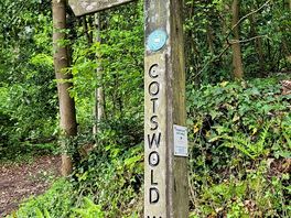 Cotswold way