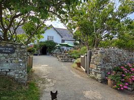 Tea rooms