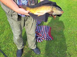 Lovely fish caught in the lake
