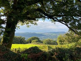 View from the path