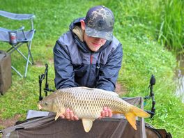 Carp