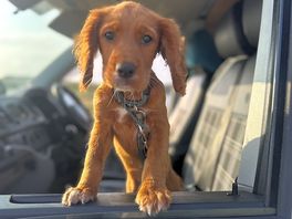 Basil loved his stay!