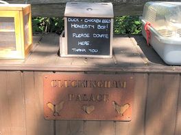 Cluckingham palace. 🤣