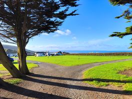 View of lyn field.