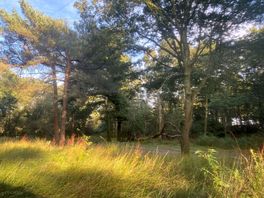 This is a lovely walk down the lane next to the site