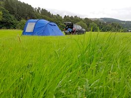 Our pitch