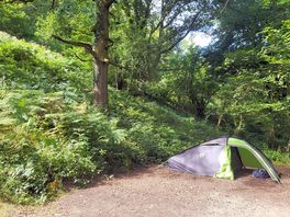 Tent pitch