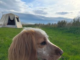 Edie enjoying the view