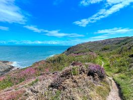 Coast path at amlwch - 10 mins drive from site