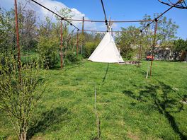 Grassy pitches with shade for summer