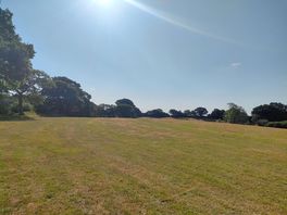 Large field