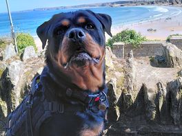 Gorgeous beaches on the doorstep
