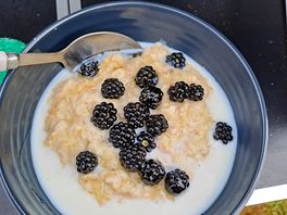 Fresh blackberries with porridge