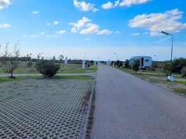 Area