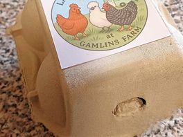 Fresh eggs by lisa and the chicks.
