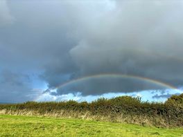 Regenbogen