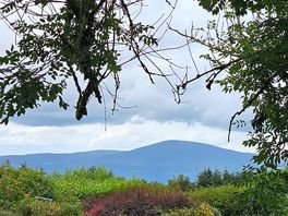Views on the grounds