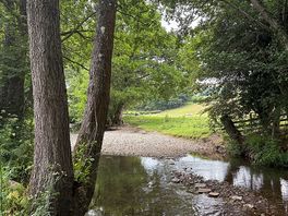 River behind pitch