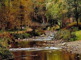 River through site x
