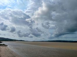 The bay