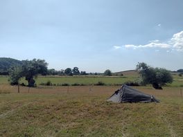 Tent in the camping field