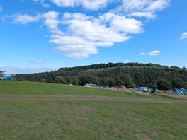 Top field view