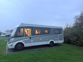 Our dog eddie people watching