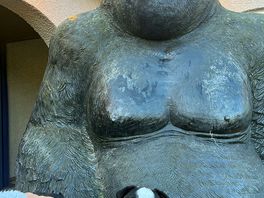 Courtyard gorilla