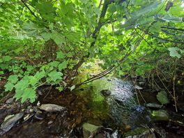 Explore the stream.