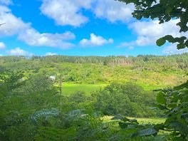 Beginning of the walk to the waterfalls trail