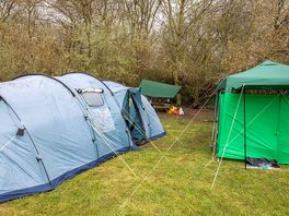 Barn owl campsite