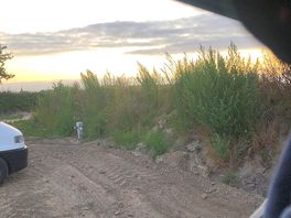 Sun setting