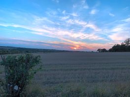 Sunset from the site.
