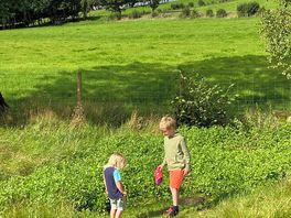 Playing in the stream in the croft